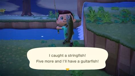 string fish|Animal Crossing New Horizons – How to Catch a Stringfish.